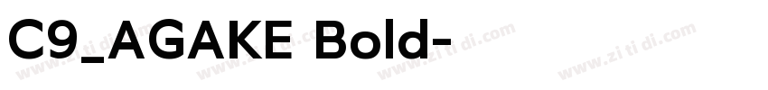 C9_AGAKE Bold字体转换